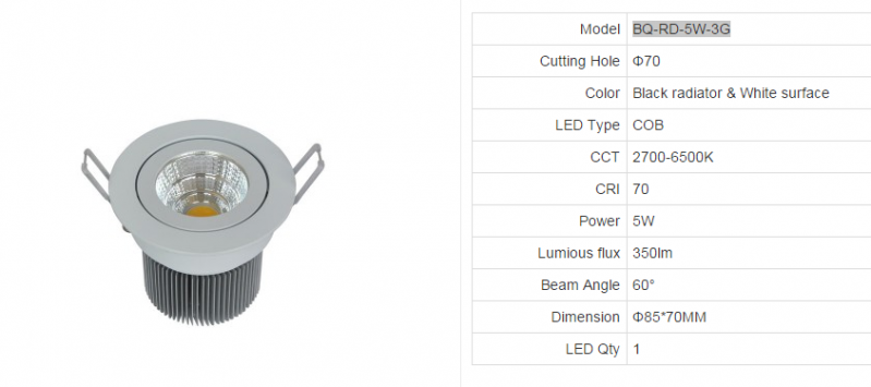 LED DownLighters