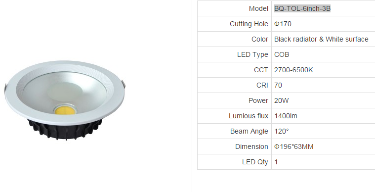 LED DownLighters