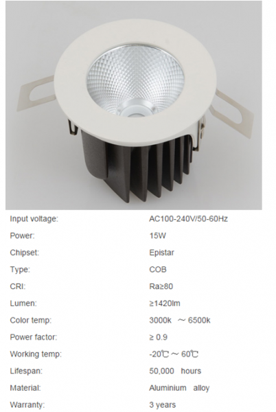 LED DownLighters