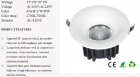 LED DownLighters