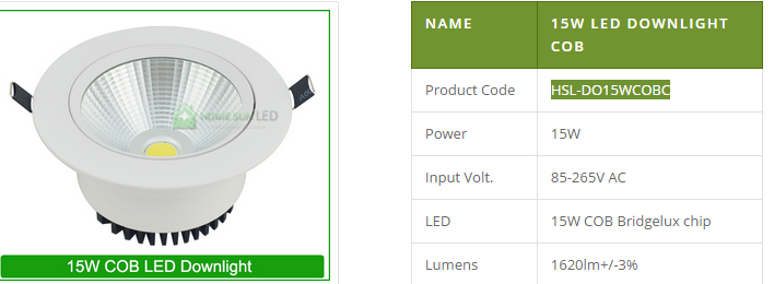 LED DownLighters