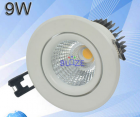 LED DownLighters