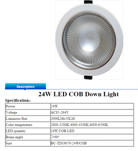 LED DownLighters