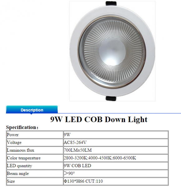 LED DownLighters