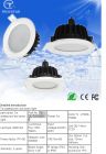 LED DownLighters