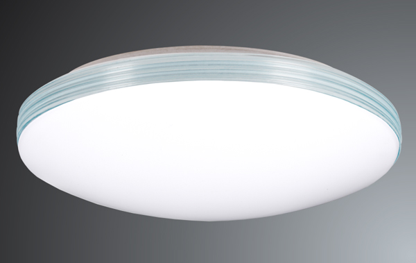 LED Ceiling Lamps