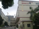 Shenzhen ZDM Opto-Electronics Co., Ltd.