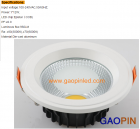 LED DownLighters