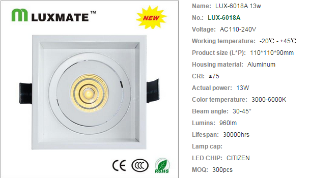 LED DownLighters