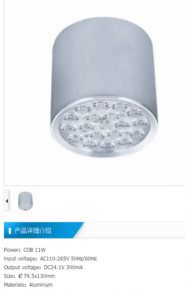 LED DownLighters