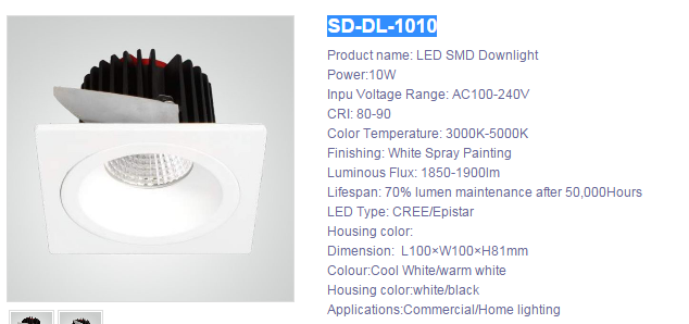 LED DownLighters