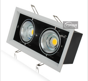 LED DownLighters