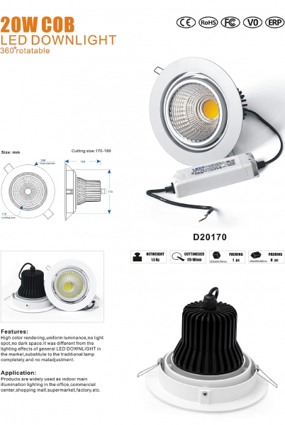 LED DownLighters