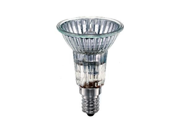 Halogen Bulbs