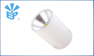 LED DownLighters