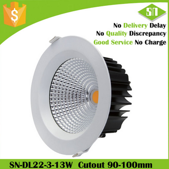 LED DownLighters