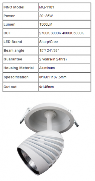 LED Spotlight