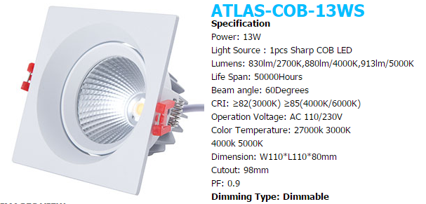 LED DownLighters