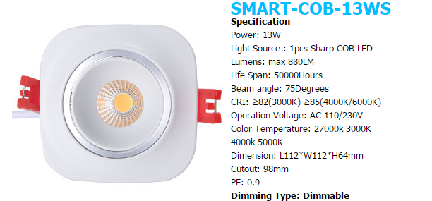 LED DownLighters