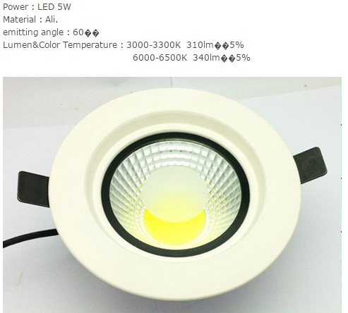 LED DownLighters