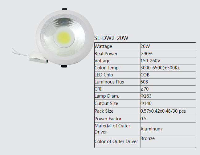 LED DownLighters