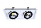 LED DownLighters