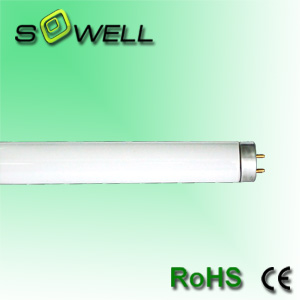 LED Tube Lights