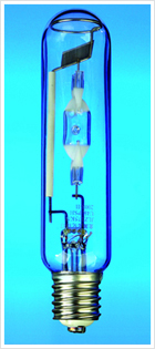 metal halide lamp