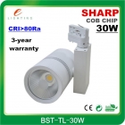 LED Track Light