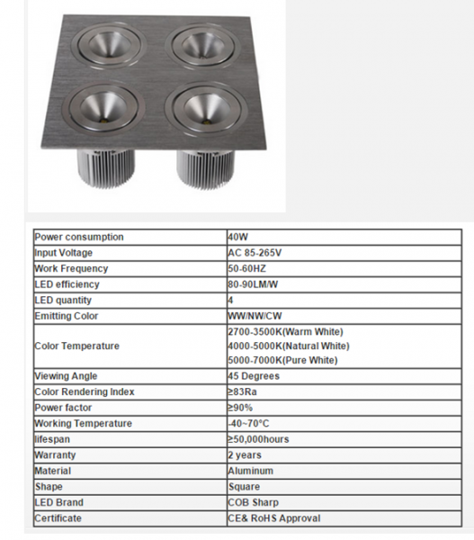 LED DownLighters