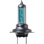 Halogen Bulbs