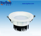 LED DownLighters