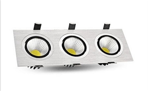 LED DownLighters