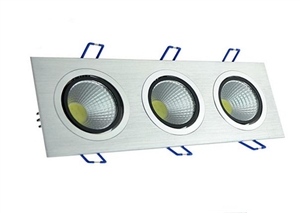 LED DownLighters