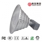 Induction Highbay Light