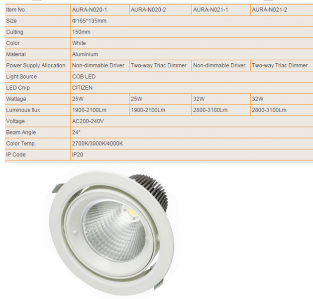 LED DownLighters