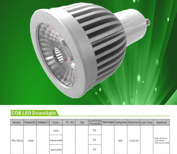 LED DownLighters