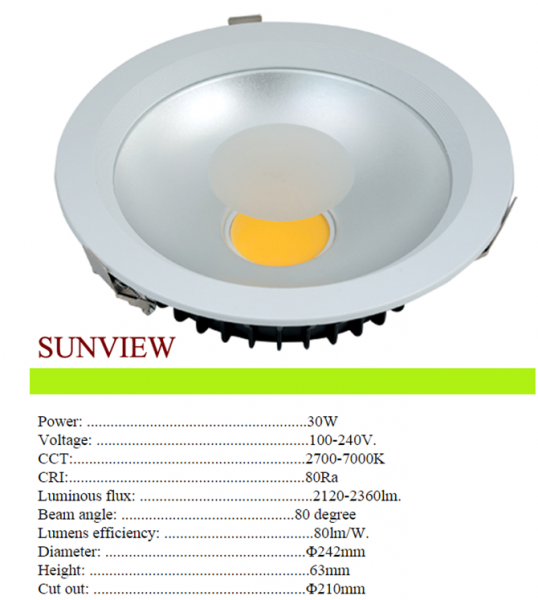 LED DownLighters