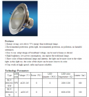 LED DownLighters