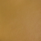 Synthetic Leather