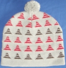 Knitted Cap