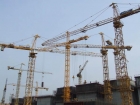 Cranes