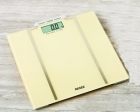 Bathroom scale