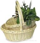 Basketry