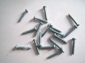 Self-Tapping Screw