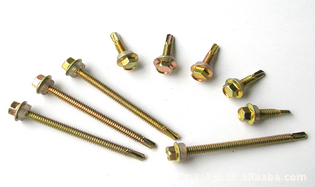 Drill Tail Screw