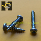 Self-tapping Screw