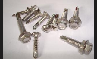 SS Self Drilling Screw