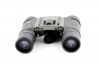 Binocular Telescope