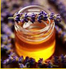 Lavender Honey